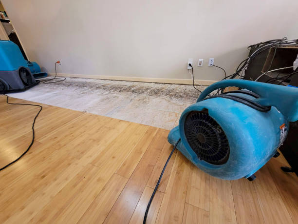 Professional Basement Flood Cleanup technician working in Lewisburg, WV